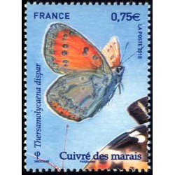 n° 4500 N** Cuivré des Marais