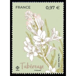 n° 5401 N** Tubéreuse