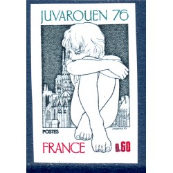 n° 1876 ND N** (ref 11900)