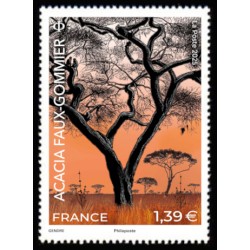n° 5901 N** Acacia Faux...