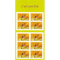 BC3634 c'est une fille bébé...