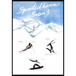 F5951 N** Sports d' Hiver