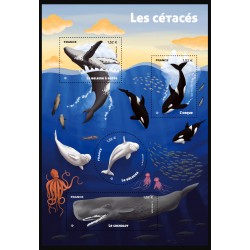 n° F5962 N** les Cétacés