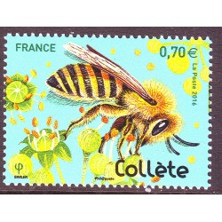 n° 5051 N** Collète