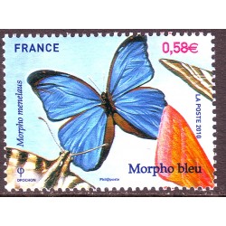n° 4497 N** Morpho Bleu